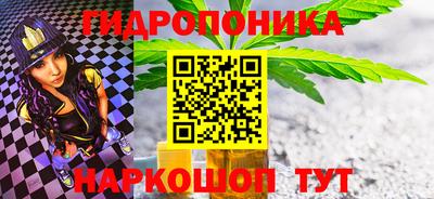 шишки Моздок
