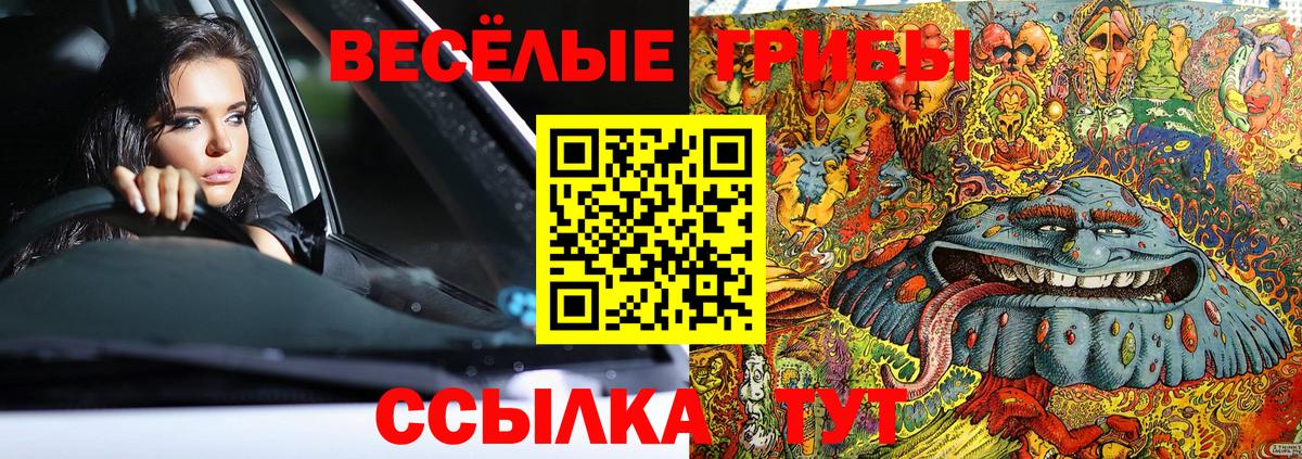 Псилоцибиновые грибы Psilocybe Черногорск