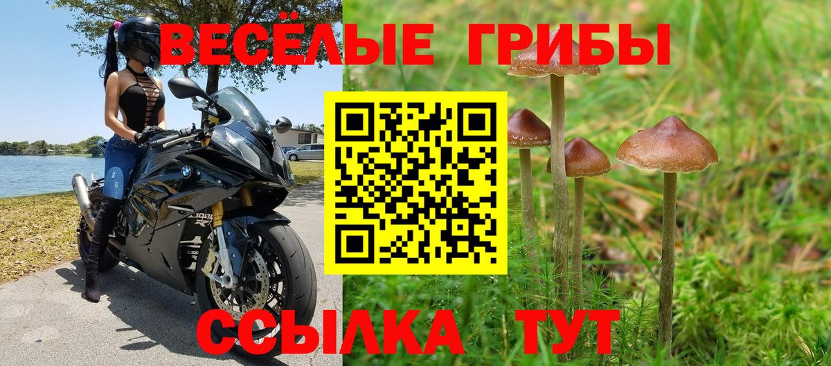Псилоцибиновые грибы Cubensis  Вход с VPN  Черногорск 